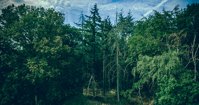 Wuxi Dpower Electronic Co., Ltd.